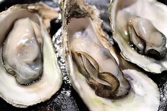 牡蠣 牡蠣
