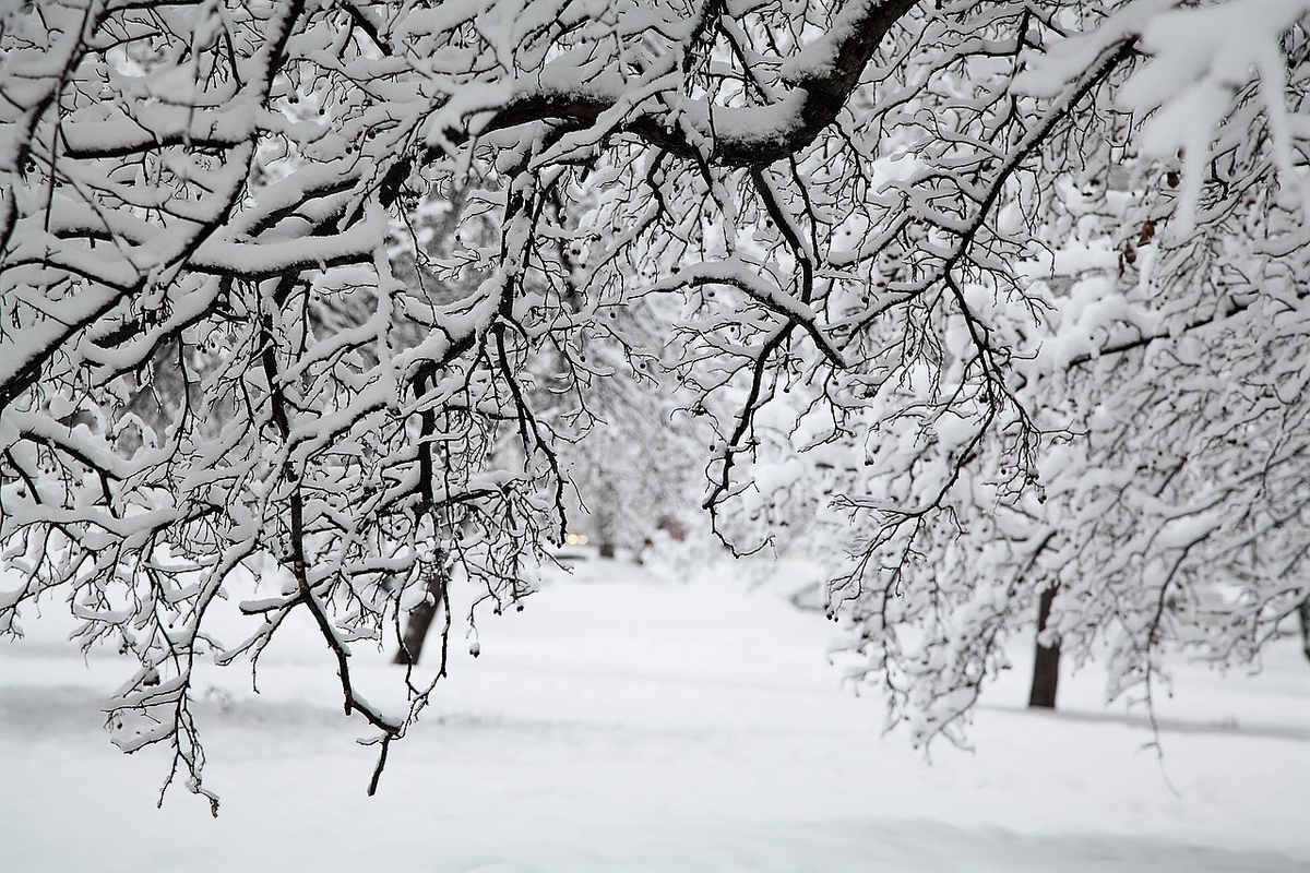 雪化粧 雪化粧
