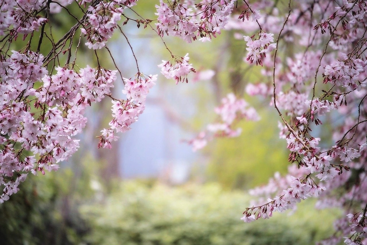 春のお彼岸