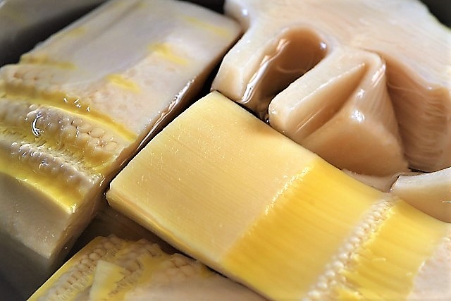 タケノコの湯煮 タケノコの湯煮