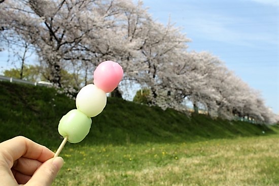 お花見団子 お花見団子