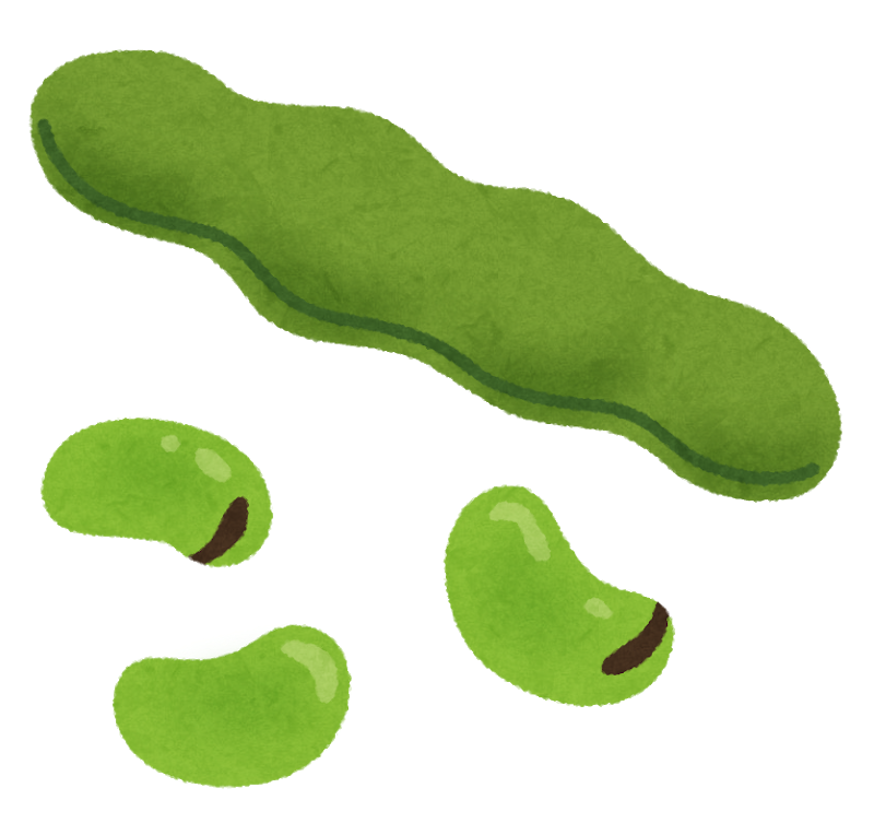 ソラマメ ソラマメ