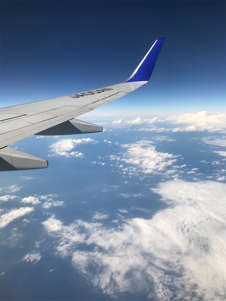 f:id:rarunene:20191229193453j:image