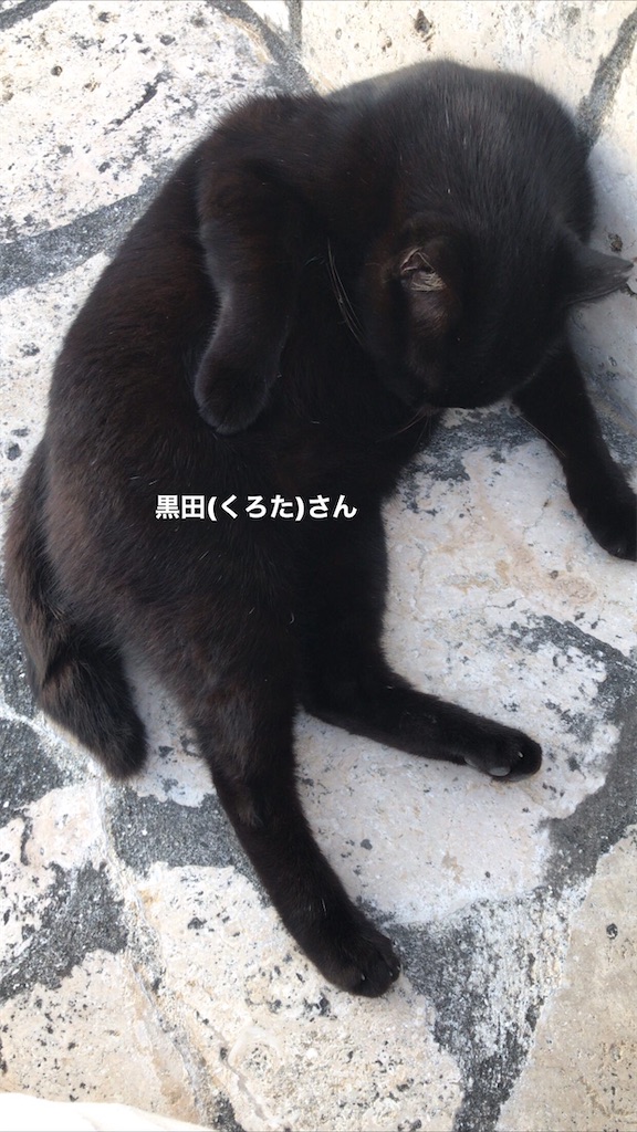 f:id:rarunene:20191229193701j:image