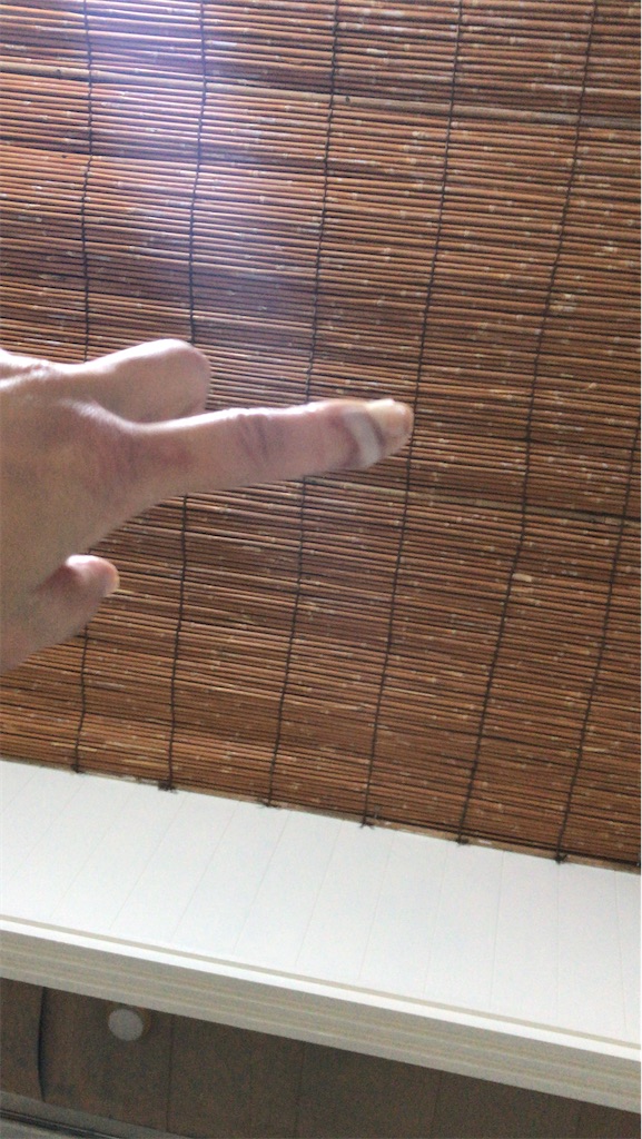 f:id:rarunene:20191229195229j:image