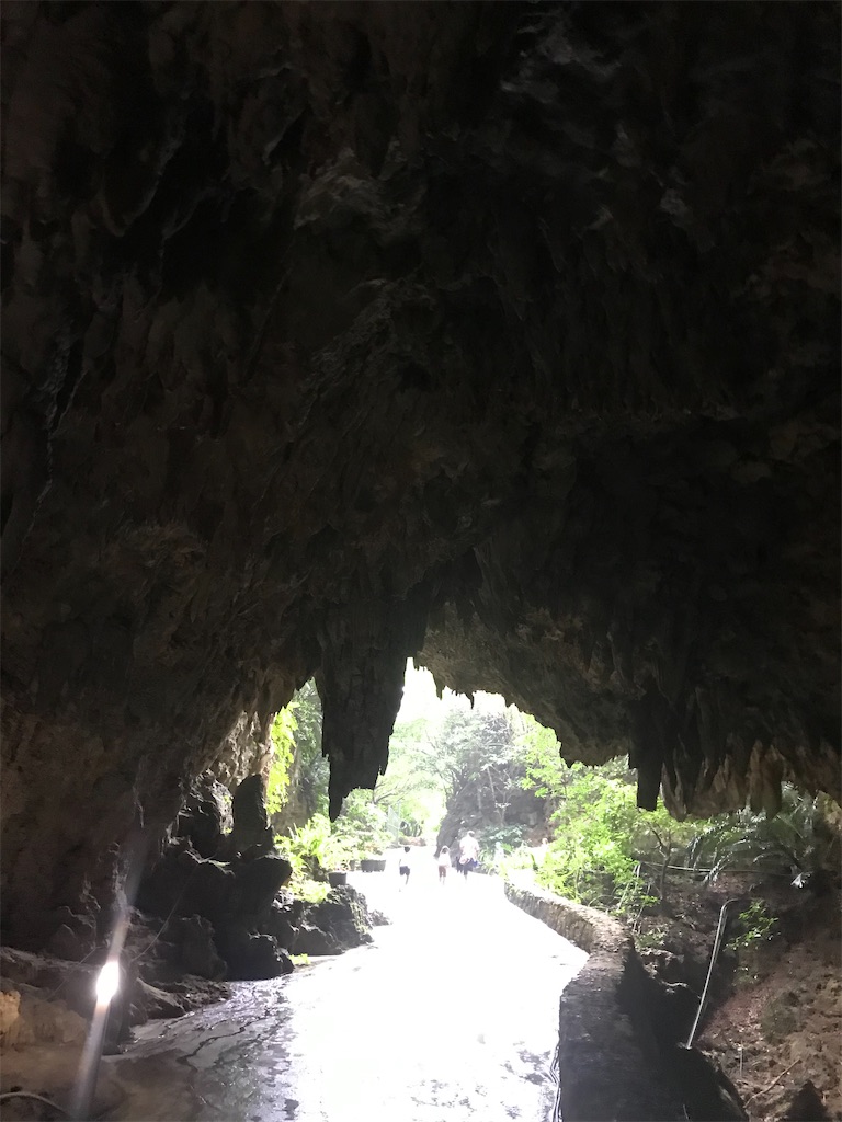 f:id:rarunene:20191229200337j:image