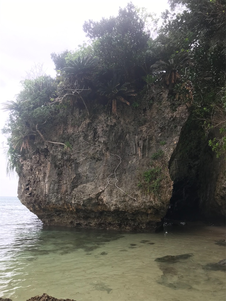 f:id:rarunene:20191229200341j:image