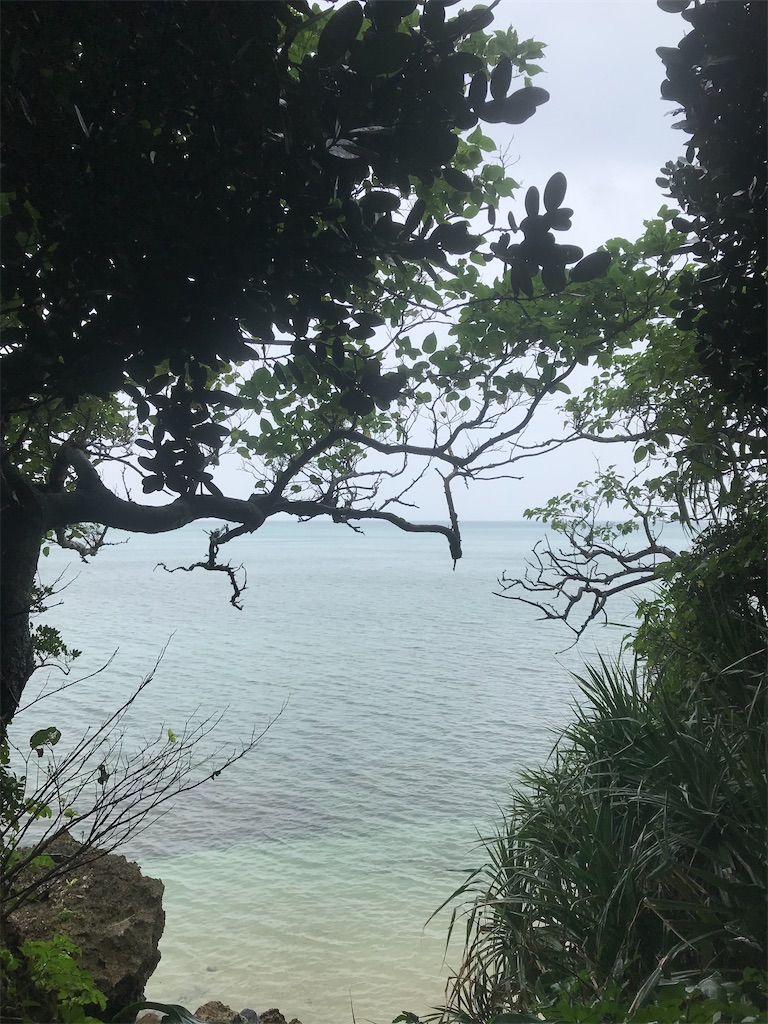 f:id:rarunene:20191229200408j:image