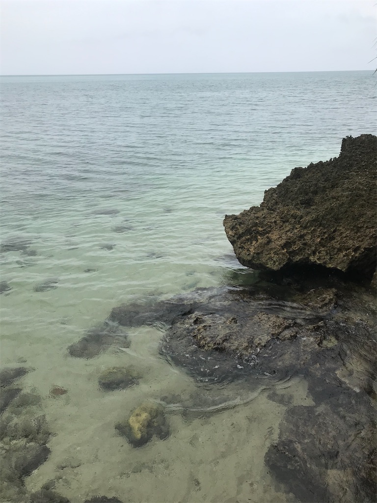f:id:rarunene:20191229200415j:image