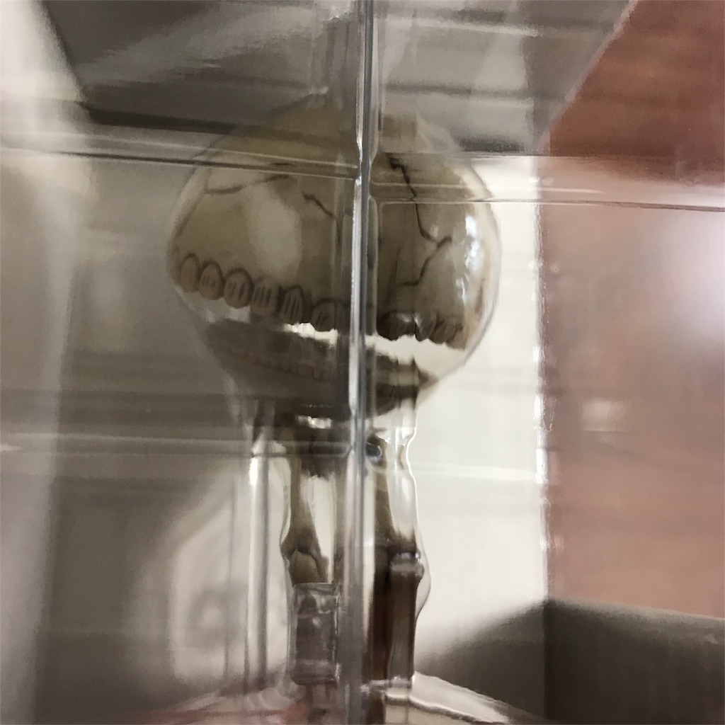 f:id:raruurattatta:20170228003115j:image