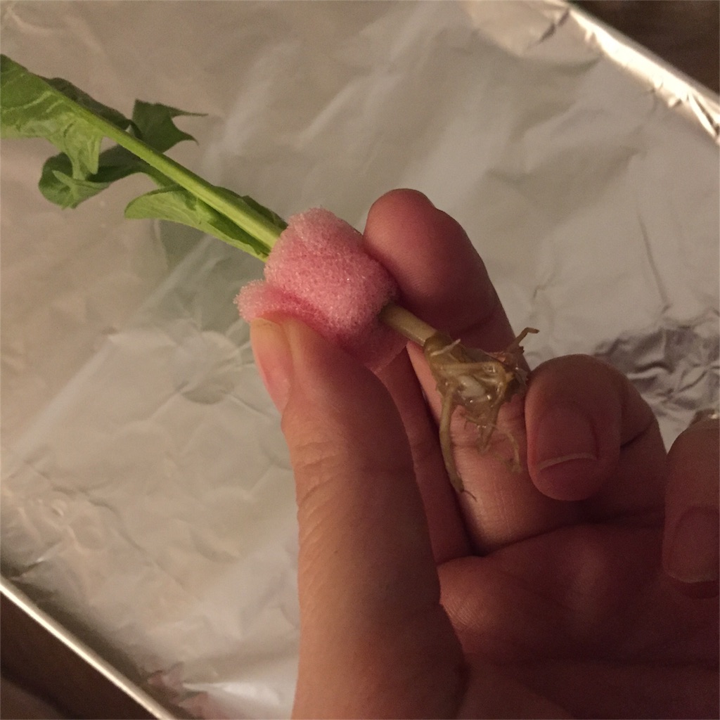 f:id:rascal0403:20170109203337j:image