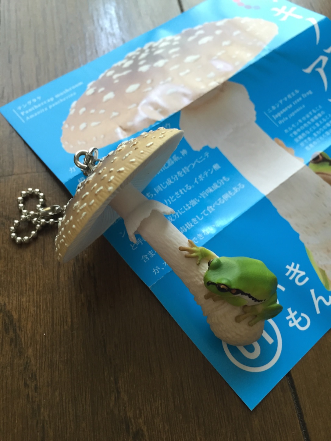 f:id:rashinzu:20150809150504j:image f:id:rashinzu:20150809150504j:image