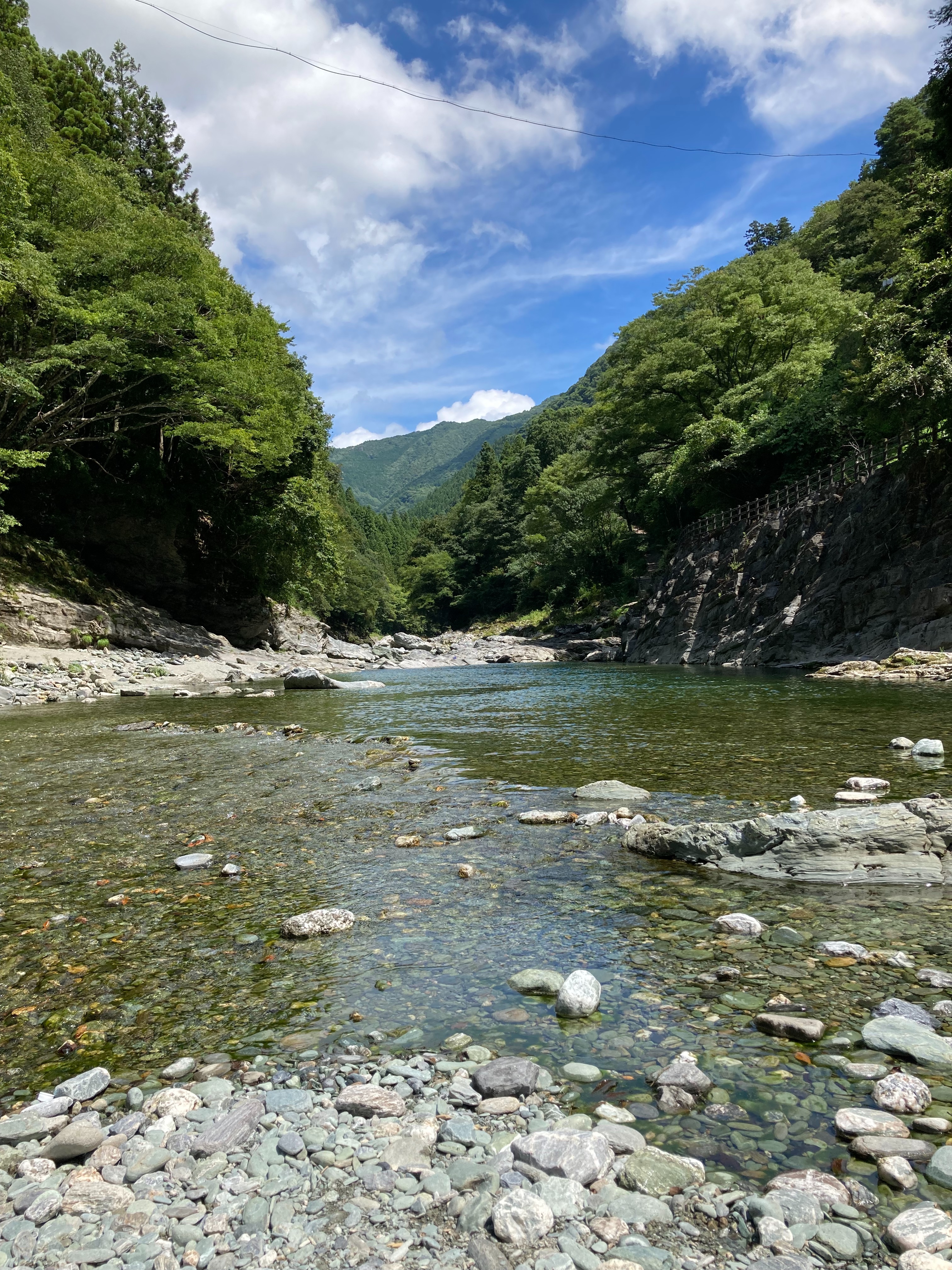 f:id:rashinzu:20220906080231j:image