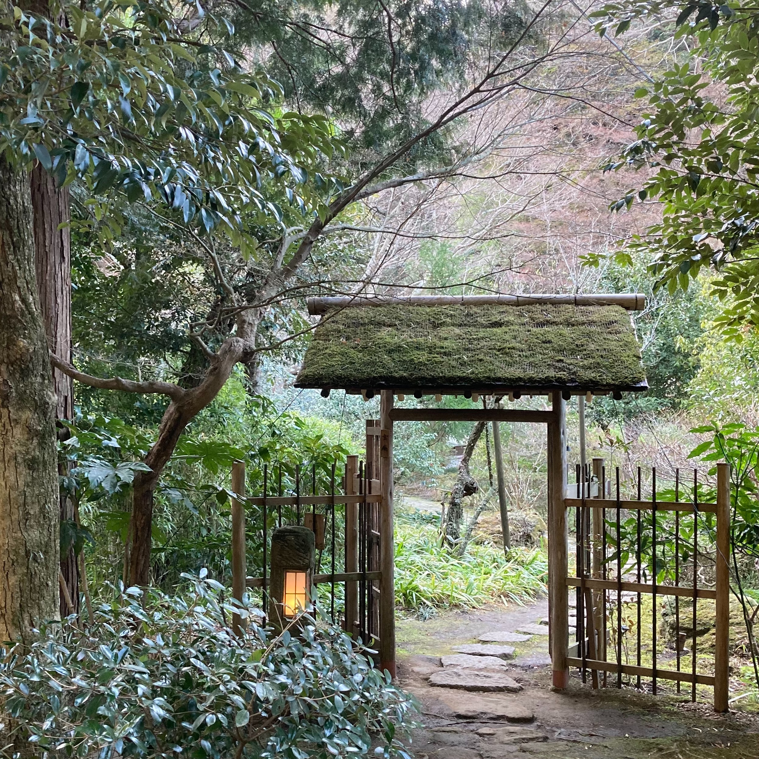 f:id:rashinzu:20230319194630j:image