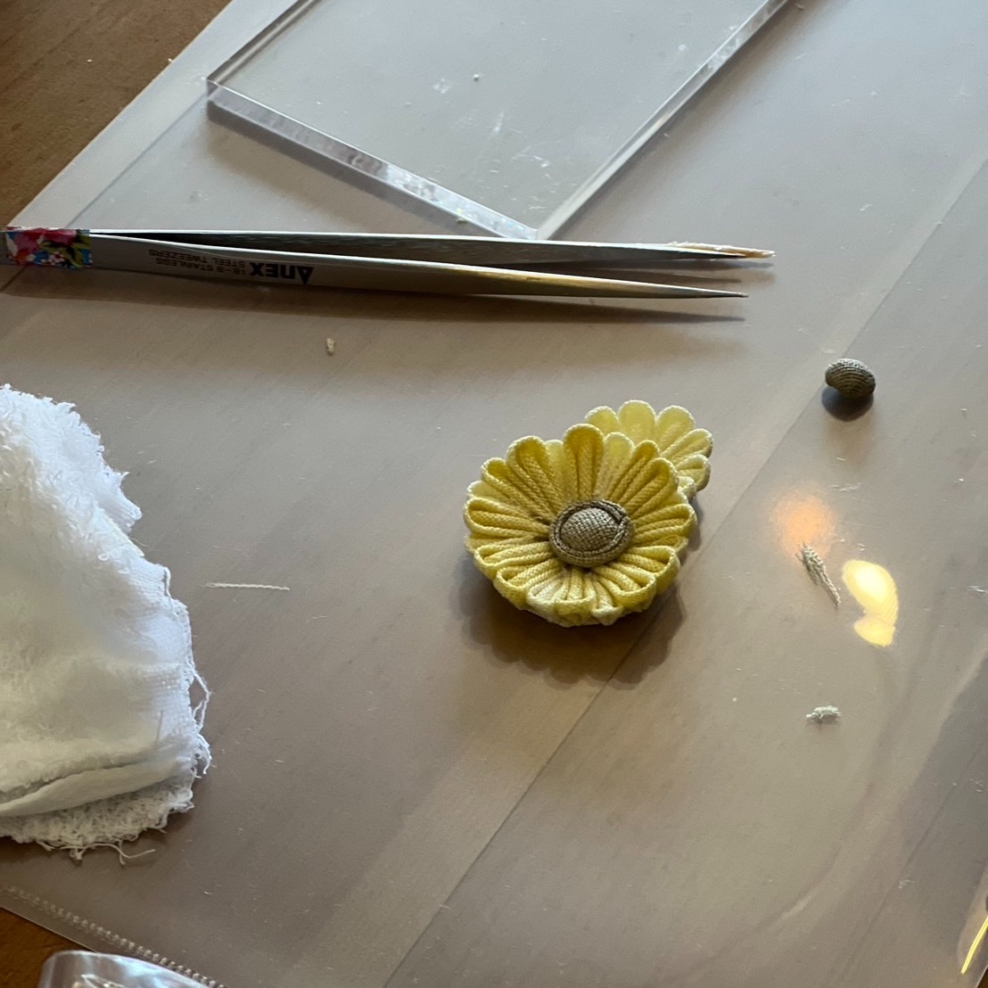 f:id:rashinzu:20240801165752j:image