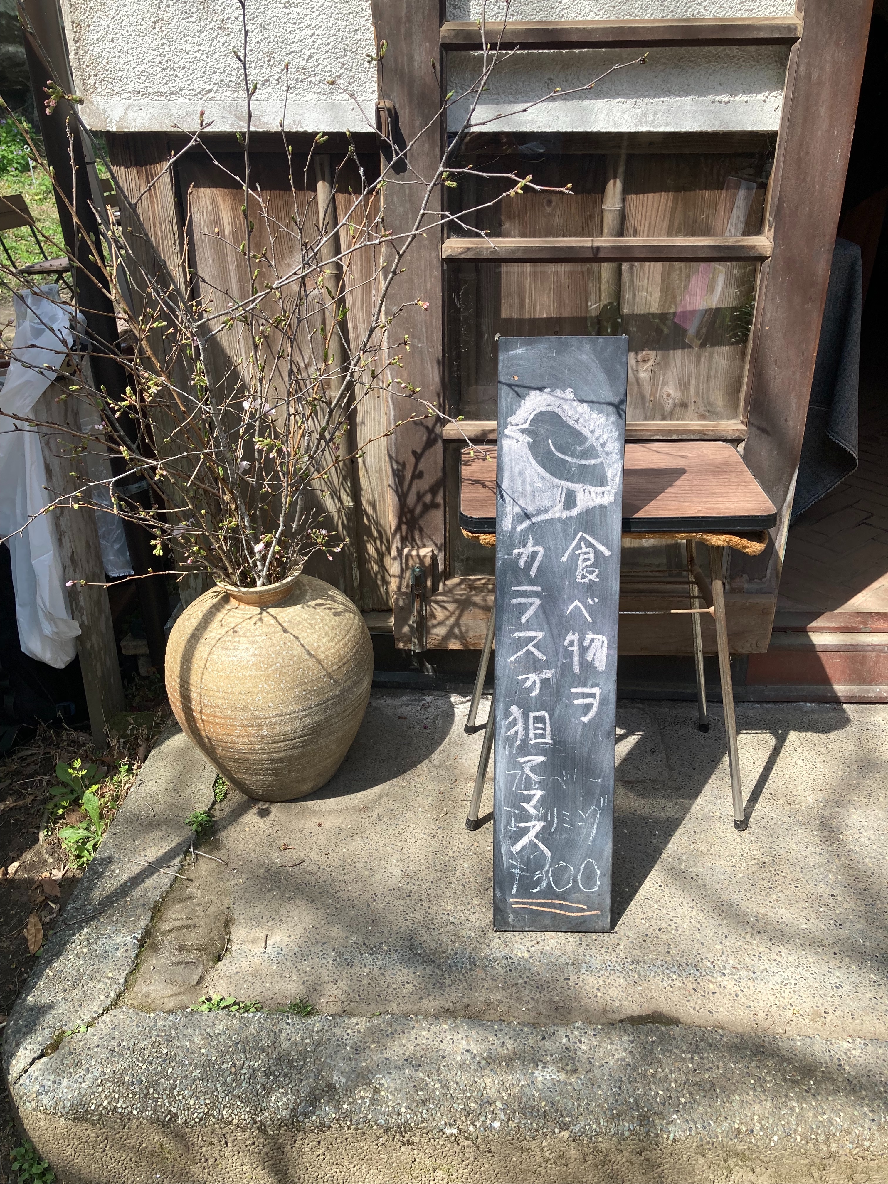f:id:rashinzu:20260323101143j:image