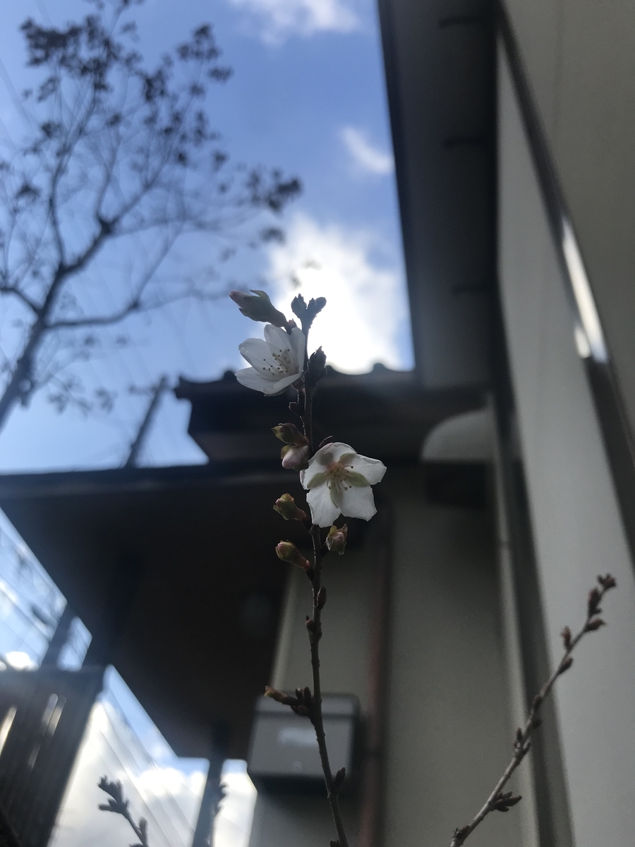 f:id:rasi01:20191228192748j:plain f:id:rasi01:20191228192748j:plain