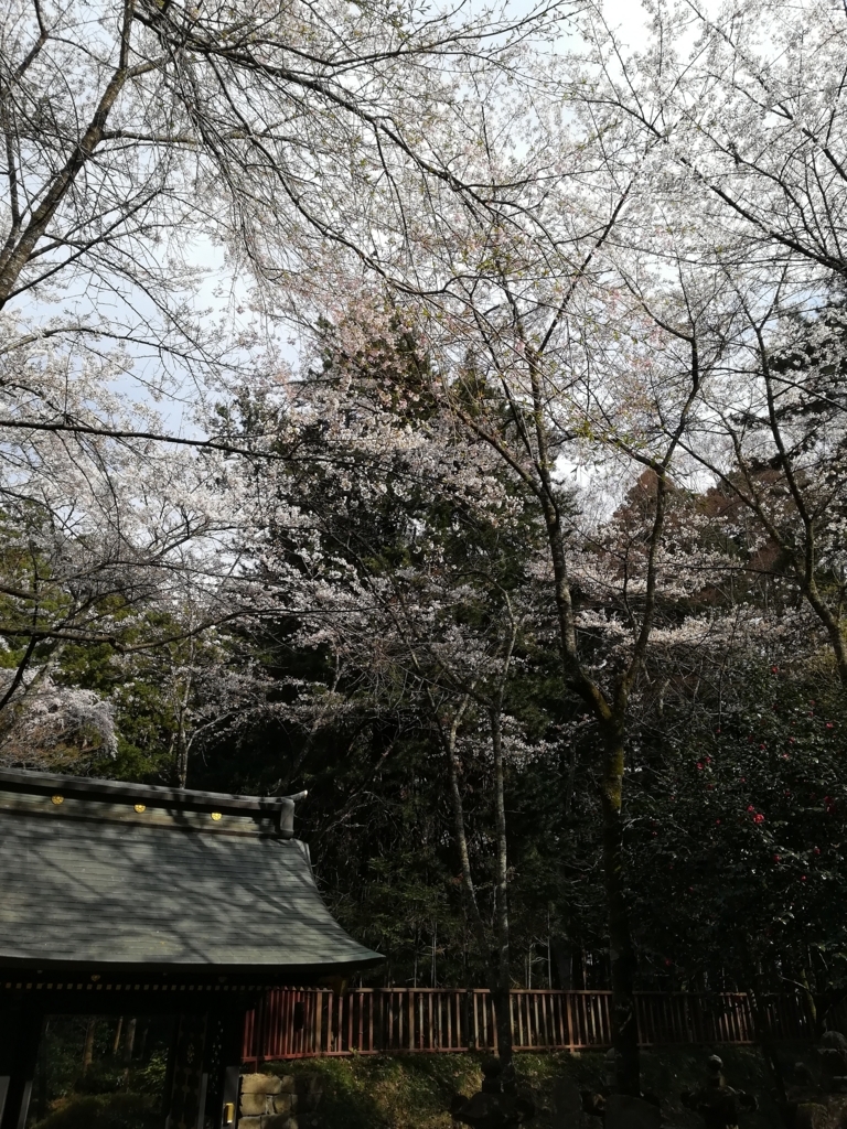 f:id:rasinban2:20180827231753j:plain