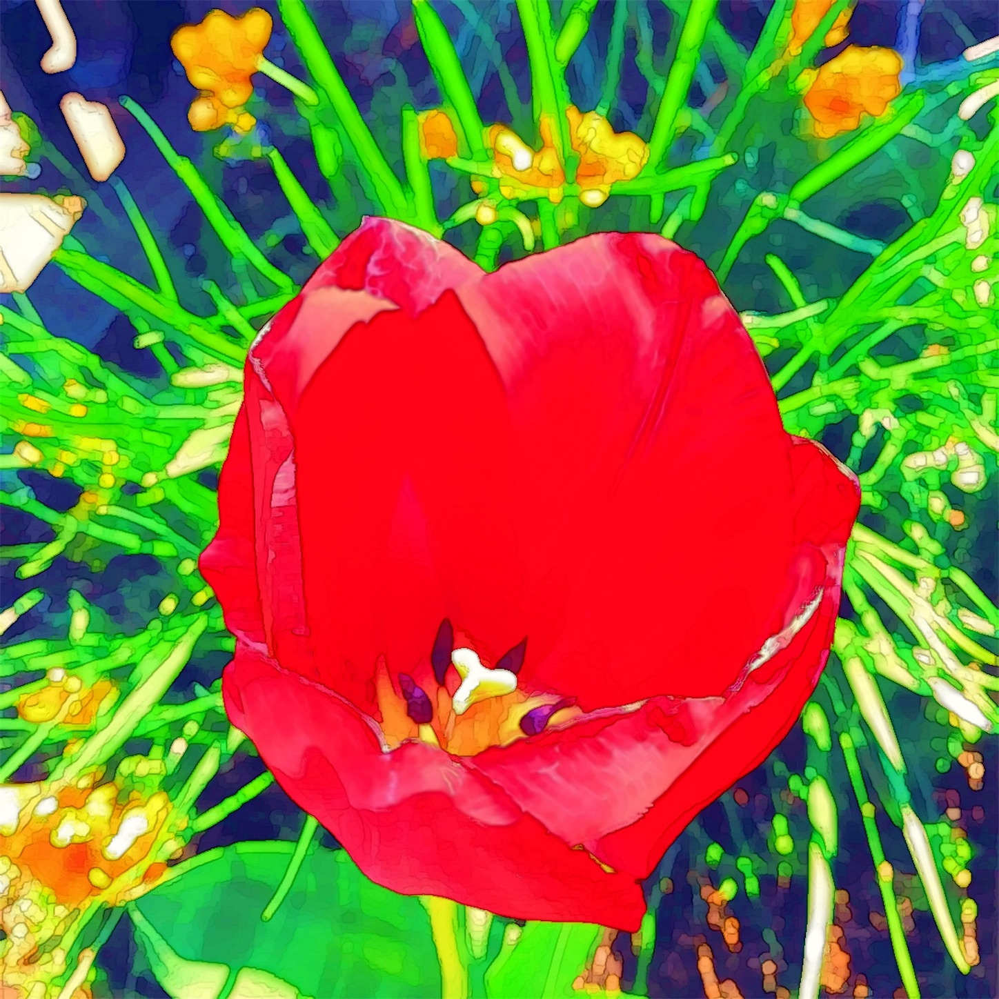 f:id:raspberrychoco:20200413132836j:image f:id:raspberrychoco:20200413132836j:image