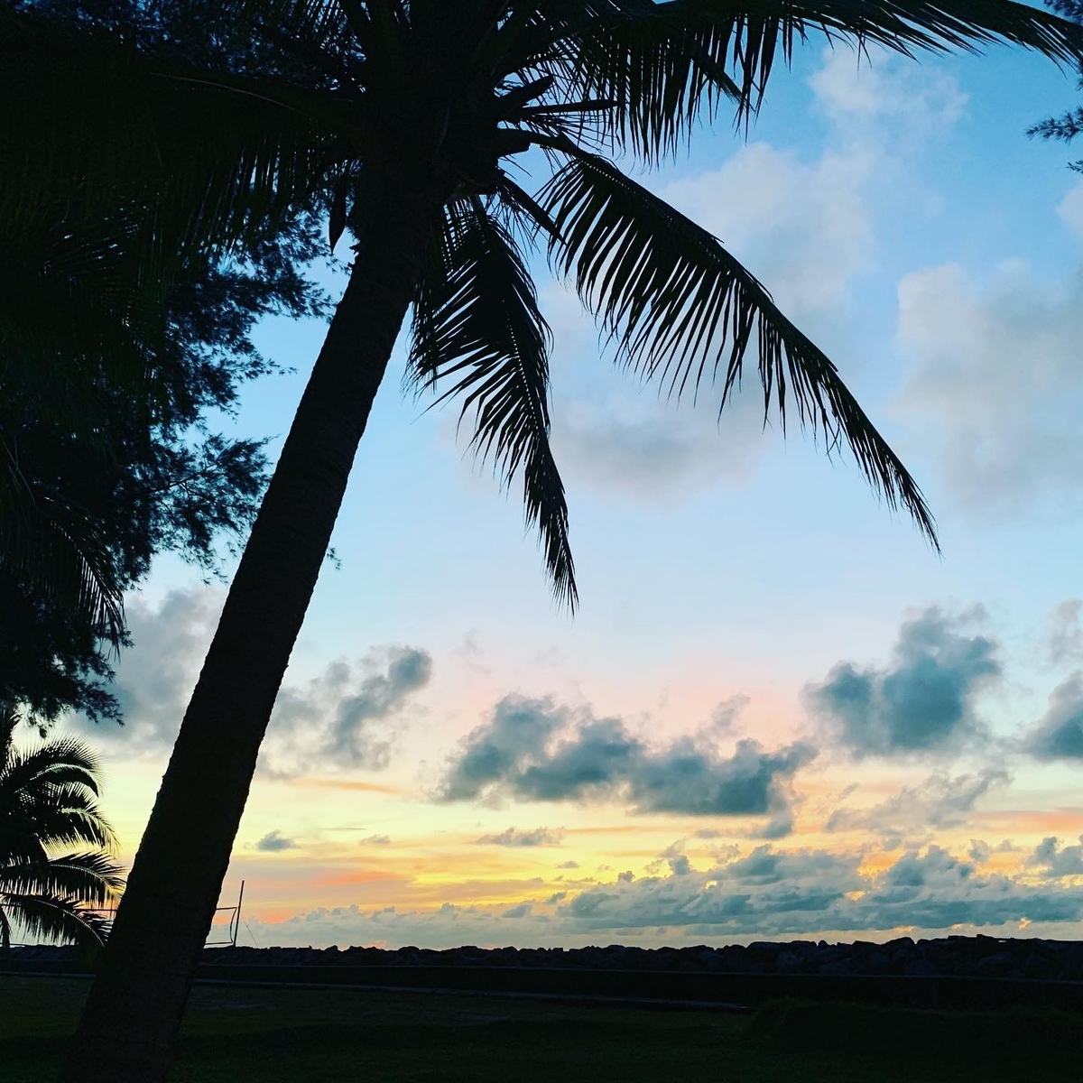 f:id:rastaichi2:20191227140343j:plain f:id:rastaichi2:20191227140343j:plain