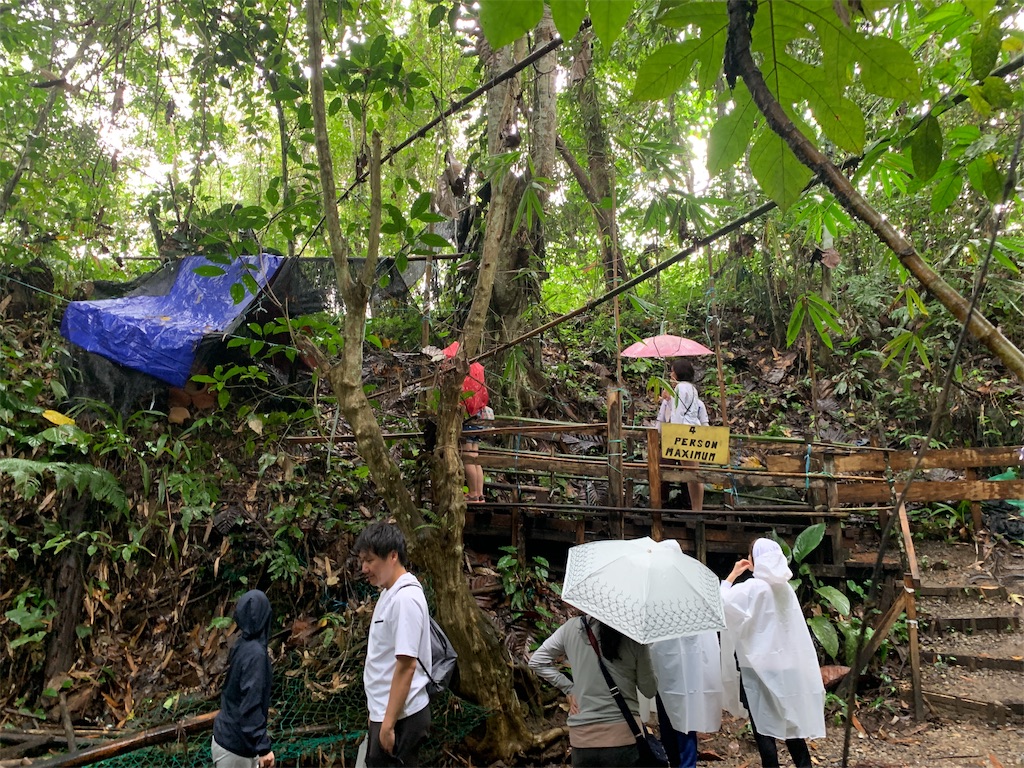 f:id:rastaichi2:20200101185850j:image