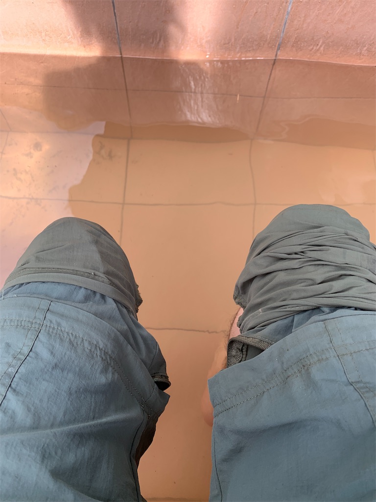 f:id:rastaichi2:20200101190030j:image