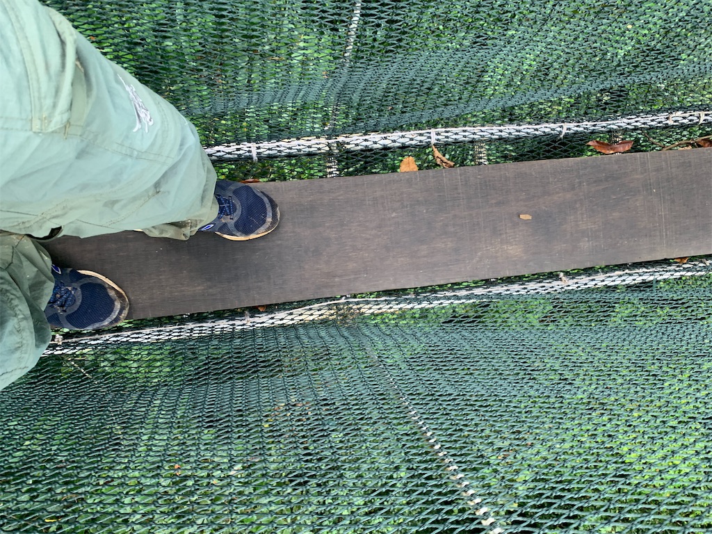 f:id:rastaichi2:20200101190038j:image