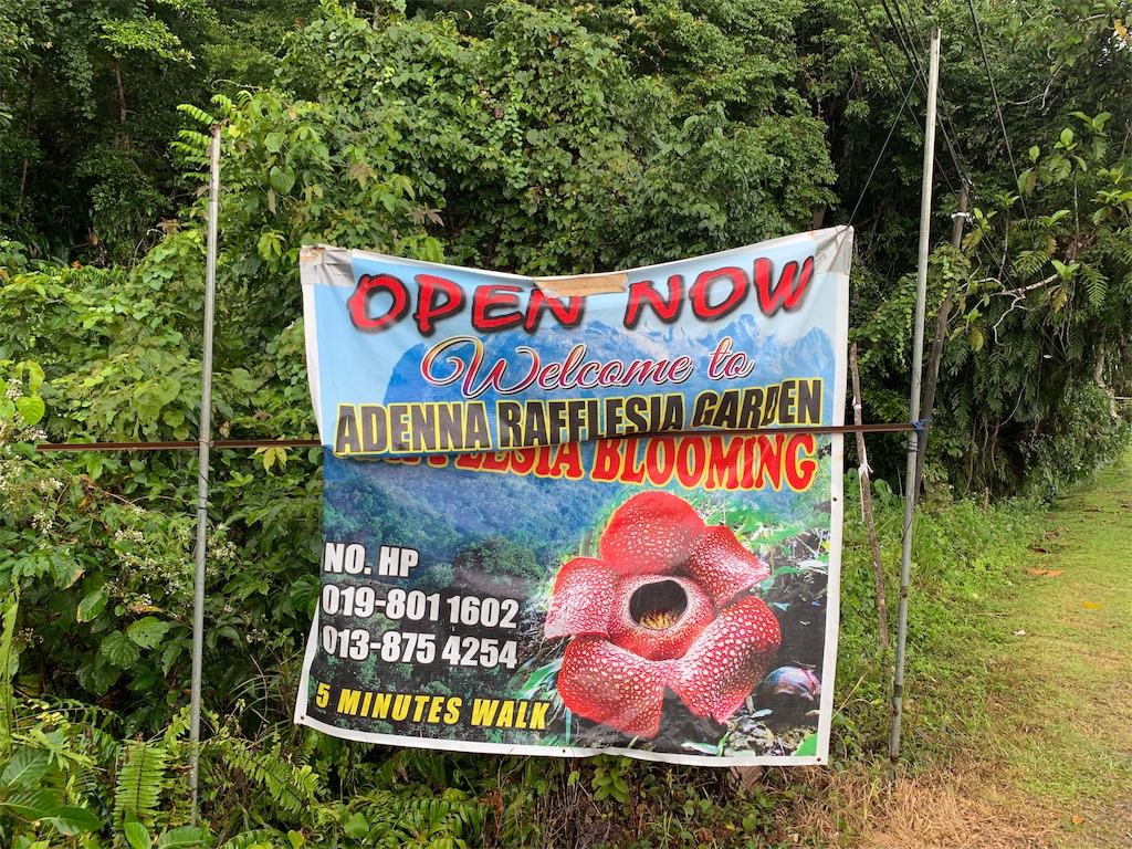 f:id:rastaichi2:20200101190422j:image