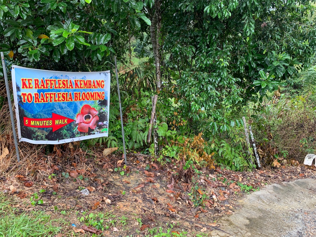 f:id:rastaichi2:20200101190436j:image