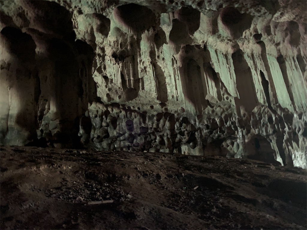 f:id:rastaichi2:20200101190926j:image