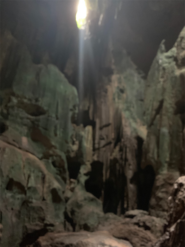 f:id:rastaichi2:20200101190930j:image