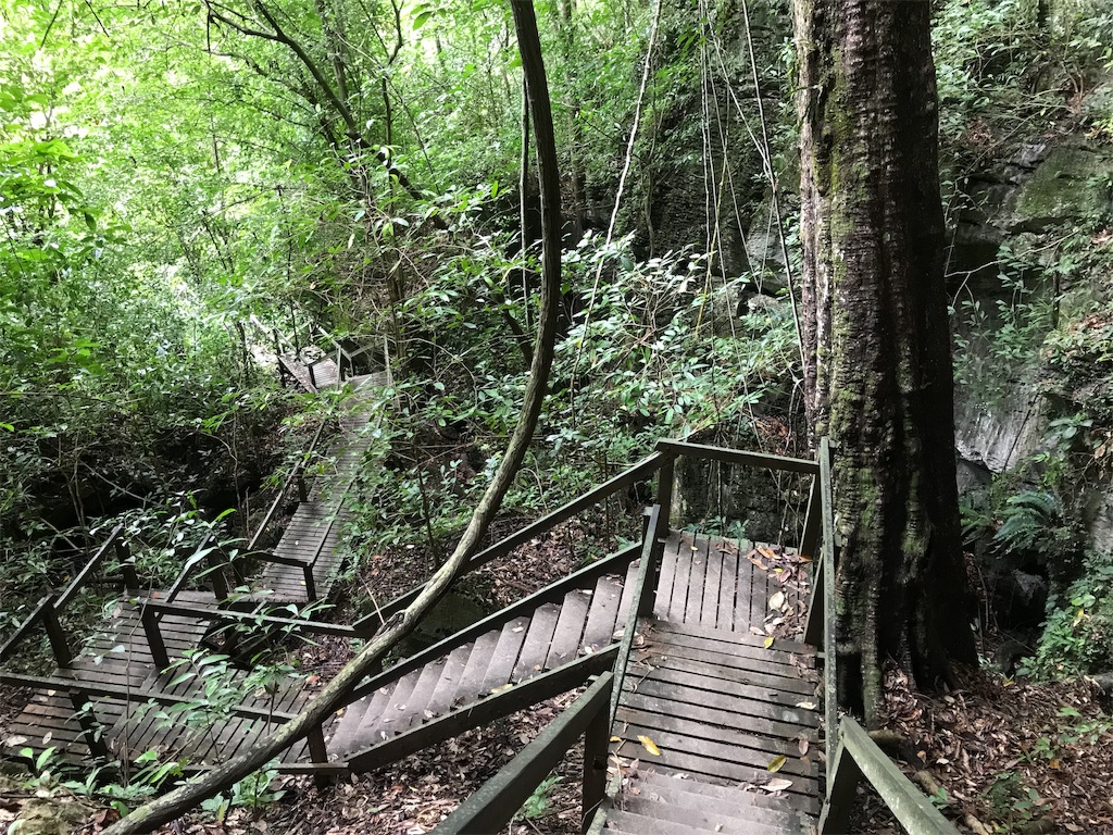 f:id:rastaichi2:20200101191639j:image