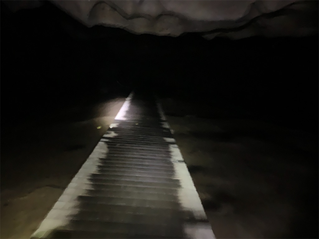 f:id:rastaichi2:20200101191755j:image