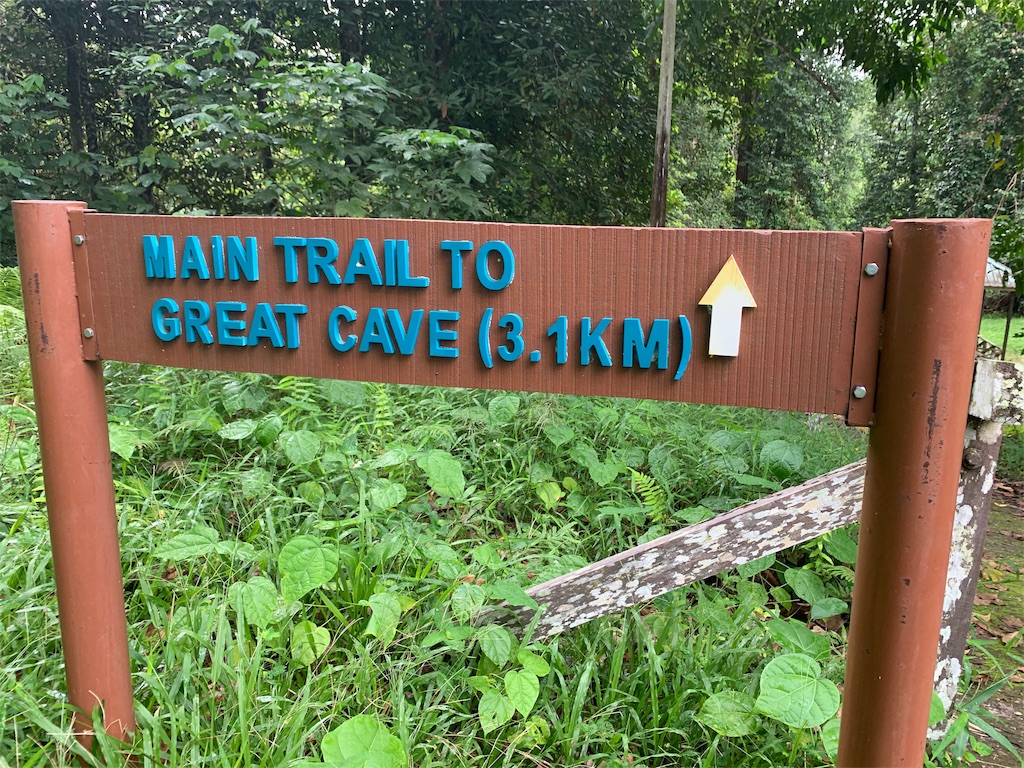 f:id:rastaichi2:20200101192246j:image