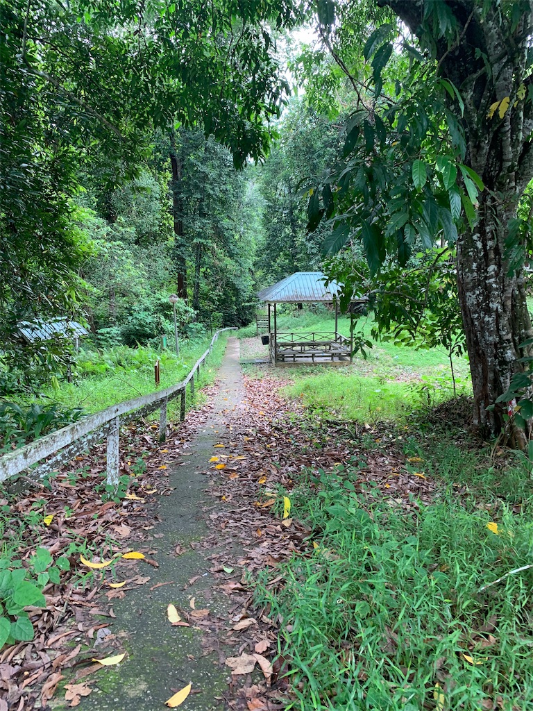 f:id:rastaichi2:20200101192256j:image