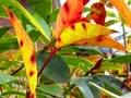 20181210225425