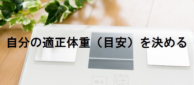 f:id:rataspi:20180912010443j:plain