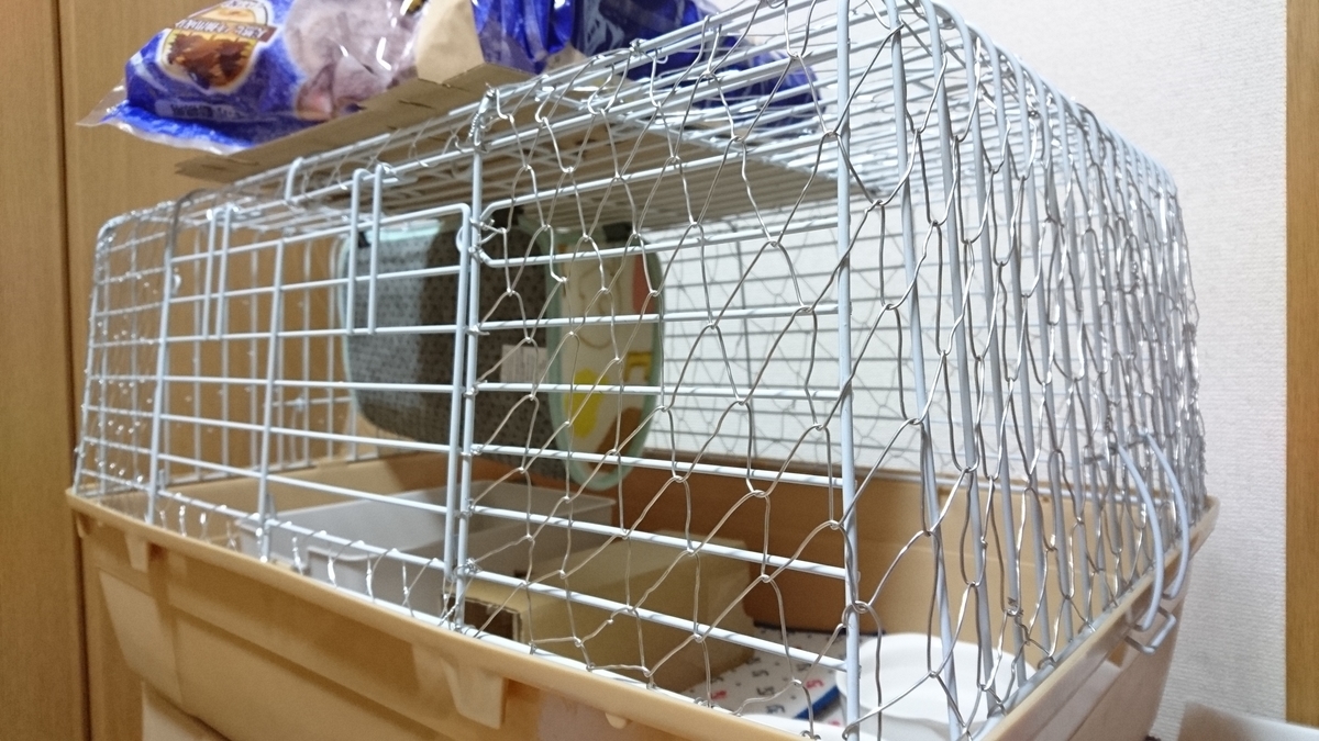 f:id:ratnikki:20190922160930j:plain f:id:ratnikki:20190922160930j:plain