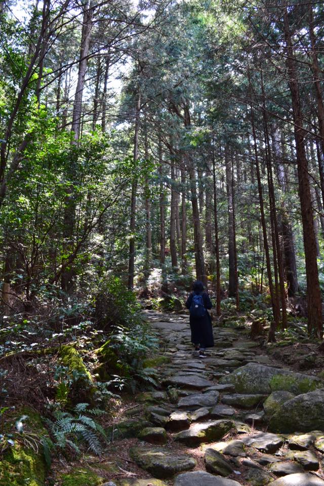f:id:raulabox:20180903215754j:plain f:id:raulabox:20180903215754j:plain