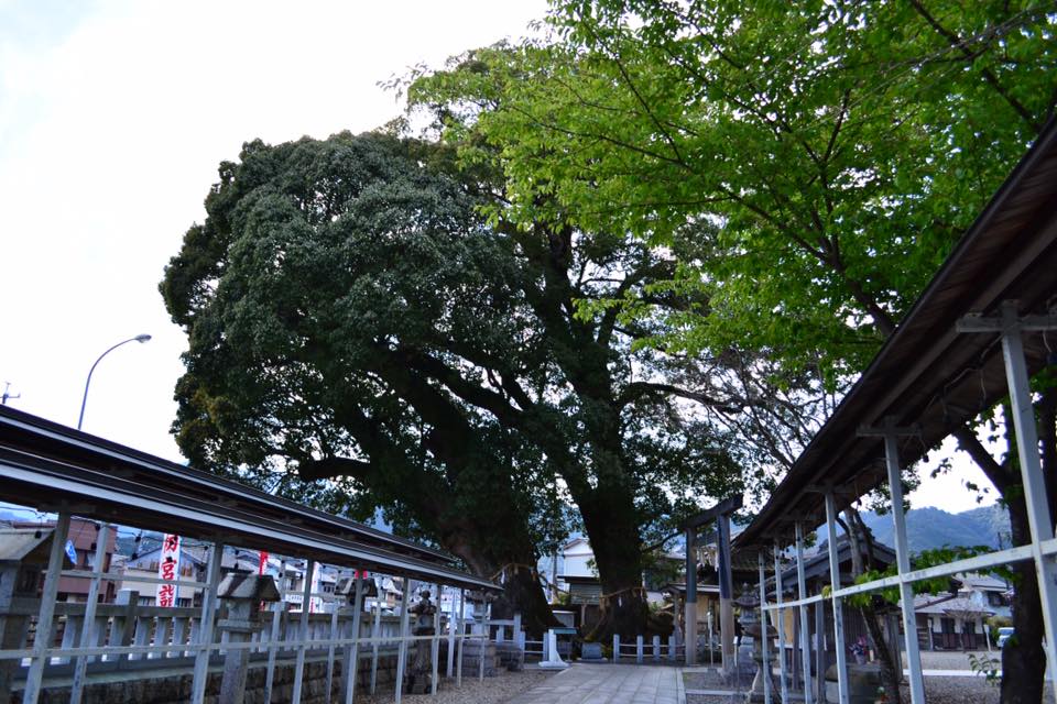 f:id:raulabox:20180903220257j:plain f:id:raulabox:20180903220257j:plain