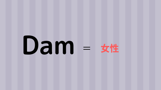 f:id:raulabox:20190513223605p:plain f:id:raulabox:20190513223605p:plain