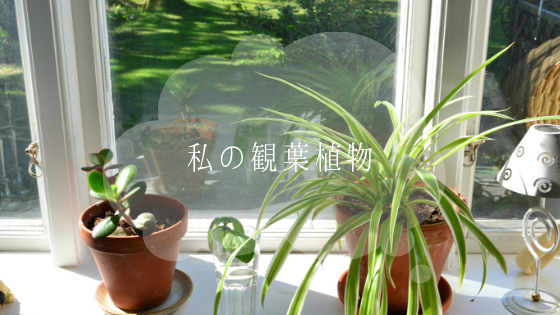 f:id:raulabox:20190725175826p:plain f:id:raulabox:20190725175826p:plain