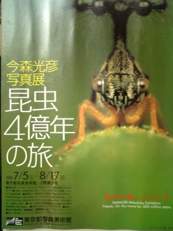 f:id:raurublock:20080503220729j:image:w160