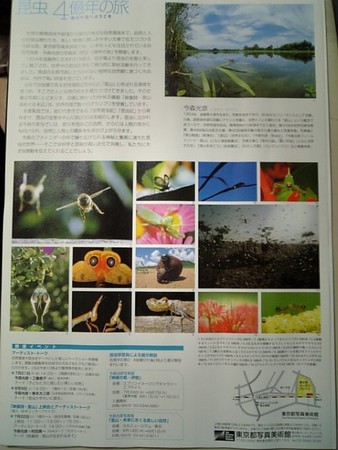 f:id:raurublock:20080503220752j:image:w160