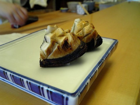 f:id:raurublock:20080506133426j:image:w320