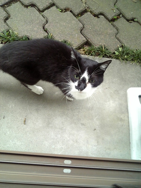 f:id:raurublock:20090613062540j:image:w150
