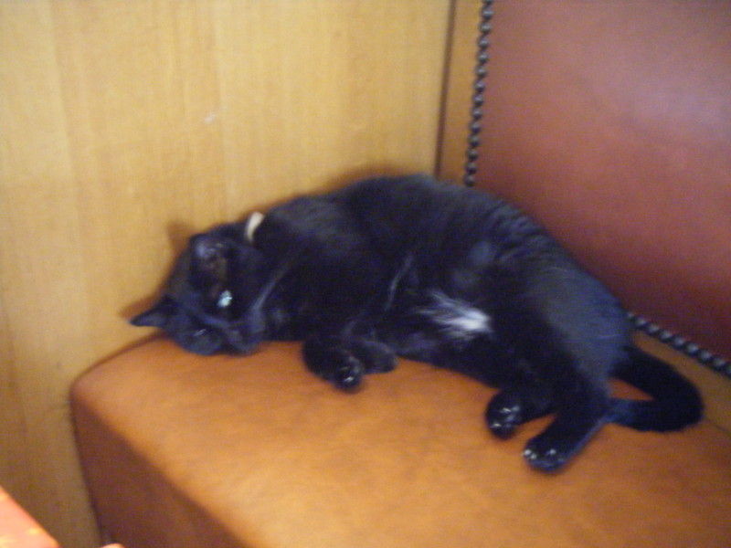 f:id:raurublock:20090905210540j:image:w200