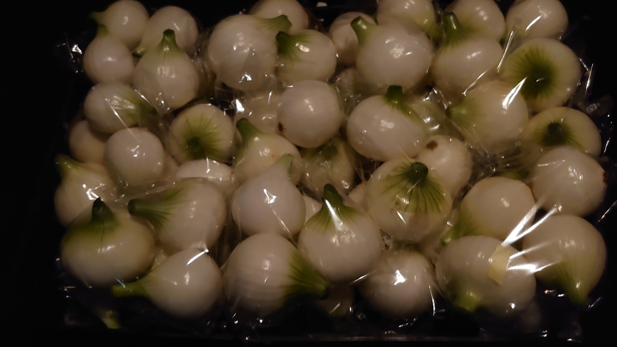 f:id:raviede75:20220417230557j:plain