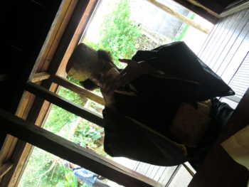 f:id:rawpower521:20110707152800j:image f:id:rawpower521:20110707152800j:image