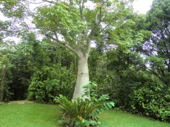 f:id:rawpower521:20110708105906j:image f:id:rawpower521:20110708105906j:image